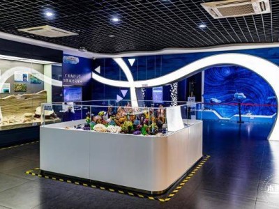 2025深圳蛇口海洋科普馆端午开放吗