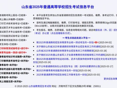 https://wsbm.sdzk.cn/怎么进入?