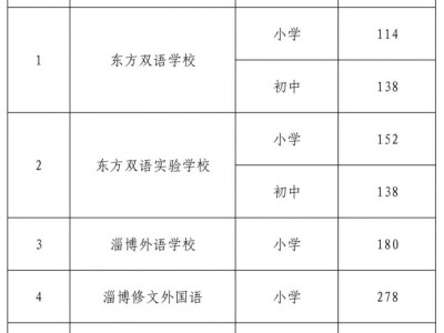 淄博张店区2025年义务教育段民办学校招生计划