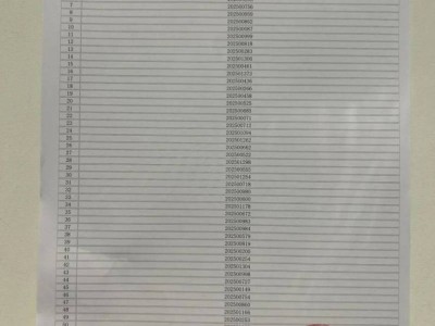 云南师范大学附属小学文林校区2025年一年级摇号结果公布