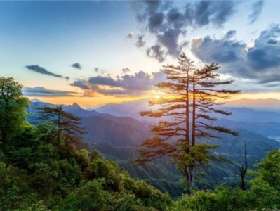 2025杭州大明山游玩攻略(开放时间+门票+地址交通)