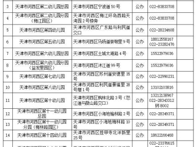 2025年河西区幼儿园招生一览表