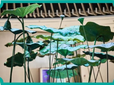 2025年6月20日至22日江北虹悦城周末活动推荐+时间+地点+活动内容