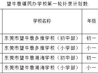 2025东莞望牛墩镇民办义务教育学校第一轮补录结果及流程