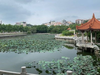 2025厦门端午节一日游路线（景点+门票+时间）