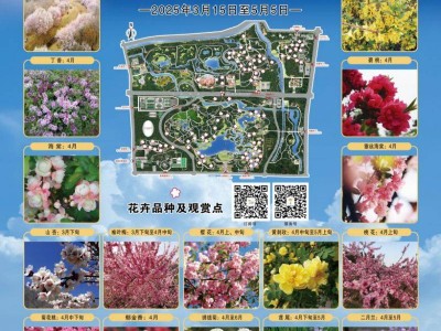 2025北京奥森公园春花节活动攻略(时间+地点+门票)