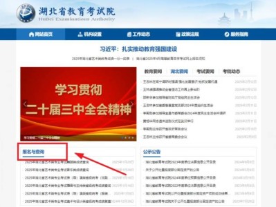 湖北省教育考试院官网学考信息平台入口