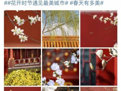 北京故宫乾隆花园开放时间定了 近一个世纪内从未向公众开放