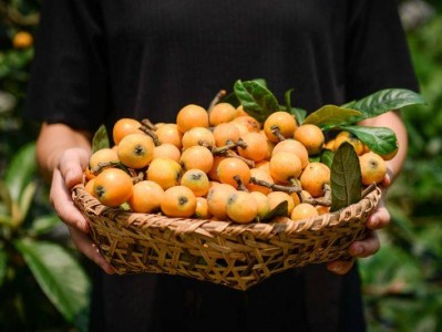 2025重庆鲁能美丽乡村五一枇杷野趣生活节时间+地点+活动攻略