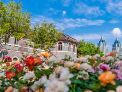 华东政法大学2026年研究生招生简章