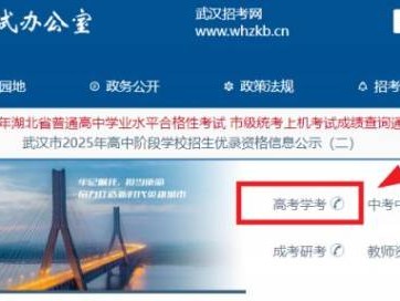 武汉市普通高中学业水平合格性考试市级统考科目结果查询系统