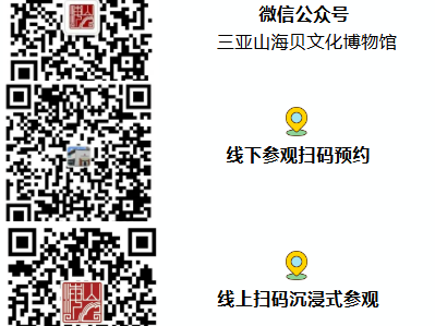 2025海南三亚山海贝文化博物馆518博物馆日活动（时间+地点+活动）