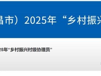 2025河南乡村振兴村级协理员招用报名时间+入口