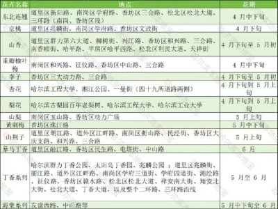 2025年哈尔滨赏花时间表