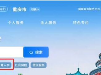 2025重庆九龙坡幼升小报名网站