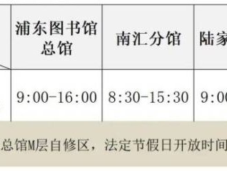 2025清明节上海各大图书馆开放时间安排一览