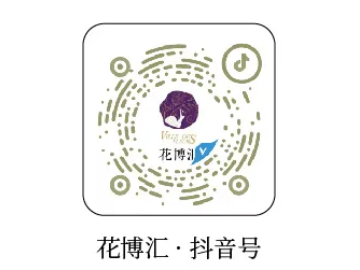 2025武汉花博汇五一有烟花秀吗？