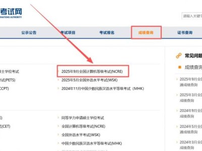 计算机考试成绩查询及证书下载入口