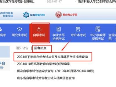 2025山东自考成绩查询系统（https://www.sdzk.cn)
