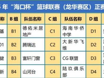 2025年海口杯篮球联赛龙华赛区正赛安排（附直播入口）