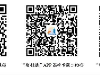 2025广西高考智桂通成绩查询入口