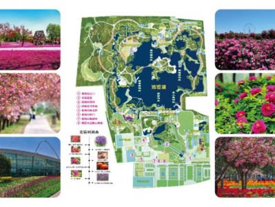 2025石家庄植物园赏花预告(时间+地点)