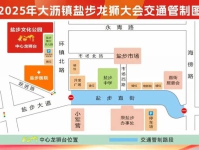 2025佛山盐步新春龙狮大会交通管制公告
