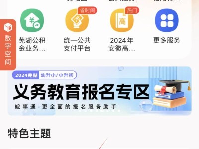 2025芜湖中考查分官网入口