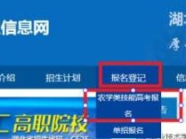 襄阳职业技术学院技能高考报名入口https://zsxx.hbxytc.cn/
