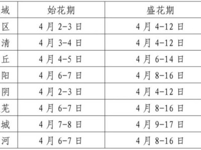 2025济南大樱桃花赏花时间表+赏花地推荐