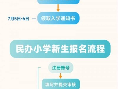 2025武汉洪山区小学现场审核地点查询时间+入口