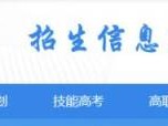 武汉职业技术学院技能高考报名网站https://zjc.wtc.edu.cn/zs/