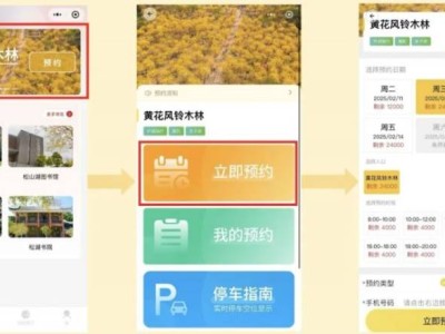 2025东莞松山湖第三届赏花月活动全攻略（时间+交通+预约）