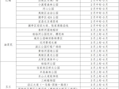 2025宜昌赏花攻略(时间+地点)