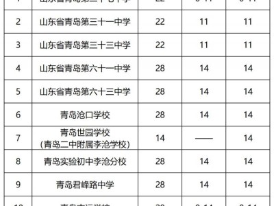 2025年青岛李沧区初中学校足球后备人才招生计划