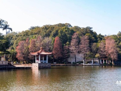 仙湖植物园免费开放时间什么时候