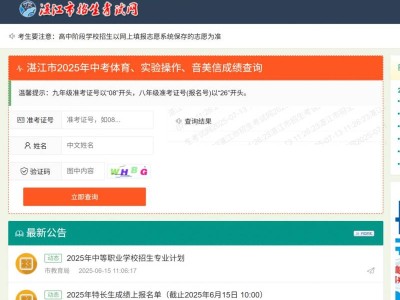 湛江中考音乐美术成绩查询