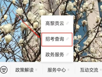 保山中考录取查询系统入口官网2025