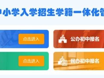 武汉幼升小网上报名入口https://zsrx.whebd.cn