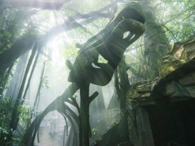 深圳青青世界端午节开放吗