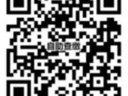 2025湛江普高体育与健康等科目学业水平考试报名缴费(方式+入口+费用)