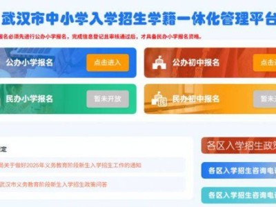 武汉硚口区小学入学初审结果查询官网入口2025