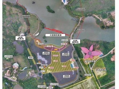 2025年南宁花花大世界景区春节活动时间+内容