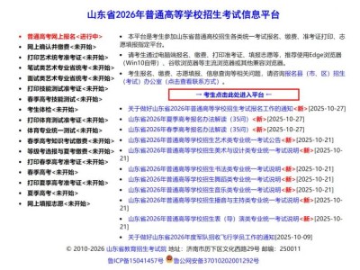 2026年山东省普通高等学校招生考试信息平台（https://wsbm.sdzk.cn）