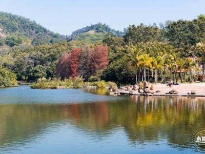 五一仙湖植物园开门吗(几点开放闭园)