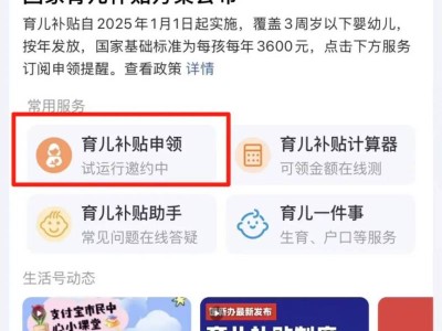 2025湖北育儿补贴申请领取指南