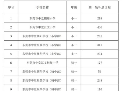 2025东莞中堂镇民办义务教育学校第一轮补录计划