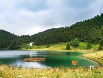 2025重庆武陵山森林公园旅游攻略（开放时间、门票、路线）