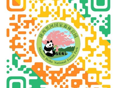 2025陕西黑河国家森林公园赏花指南（时间+交通）