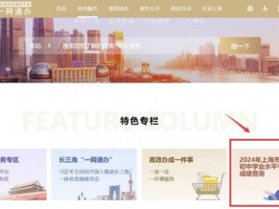 一网通办成绩查询入口官网查询(zwdt.sh.gov.cn)